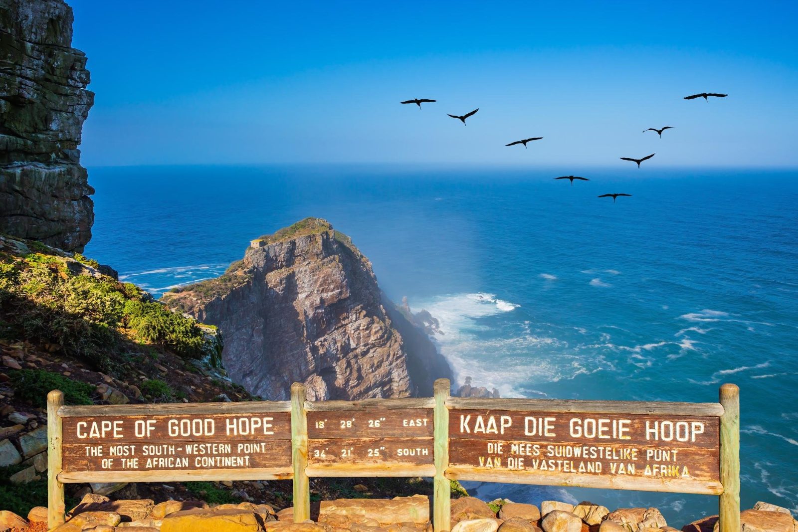 Cape Point and Boulders Beach Tour