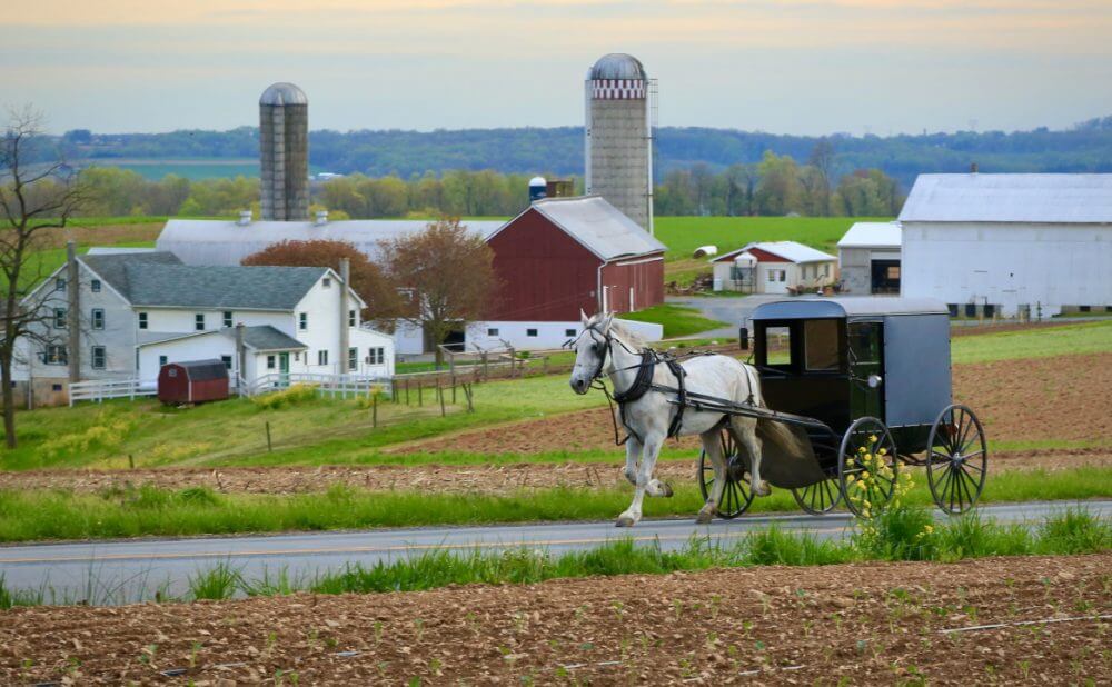 Your experience at Amish Country Day Trip From Nyc