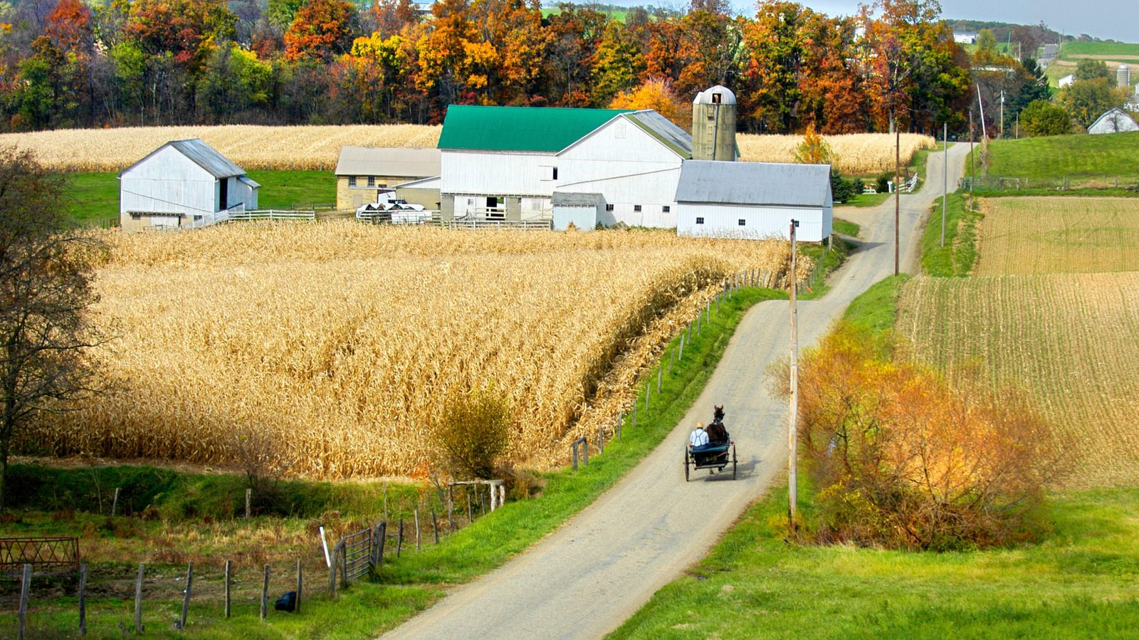 Working Farm Grounds