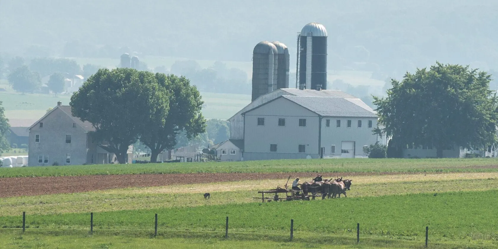 Amish Country Day Trip from NYC Overview