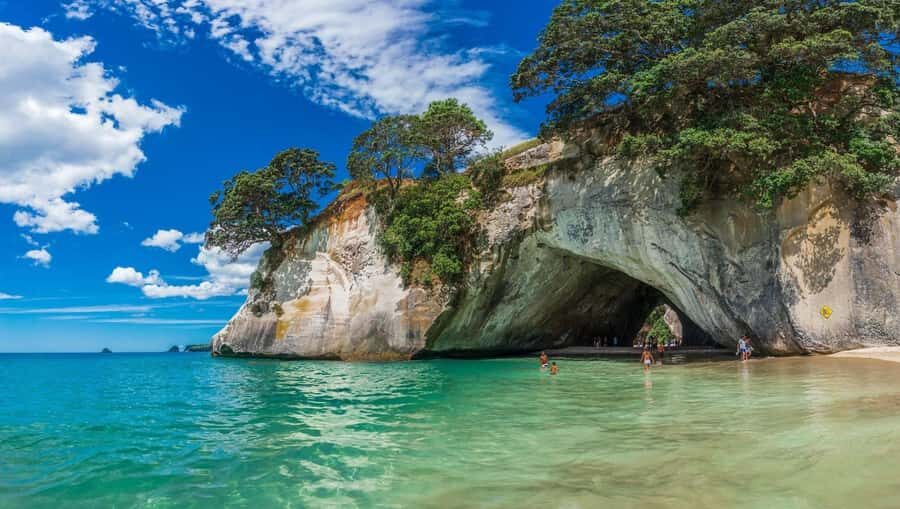 Cathedral Cove Tour From Auckland