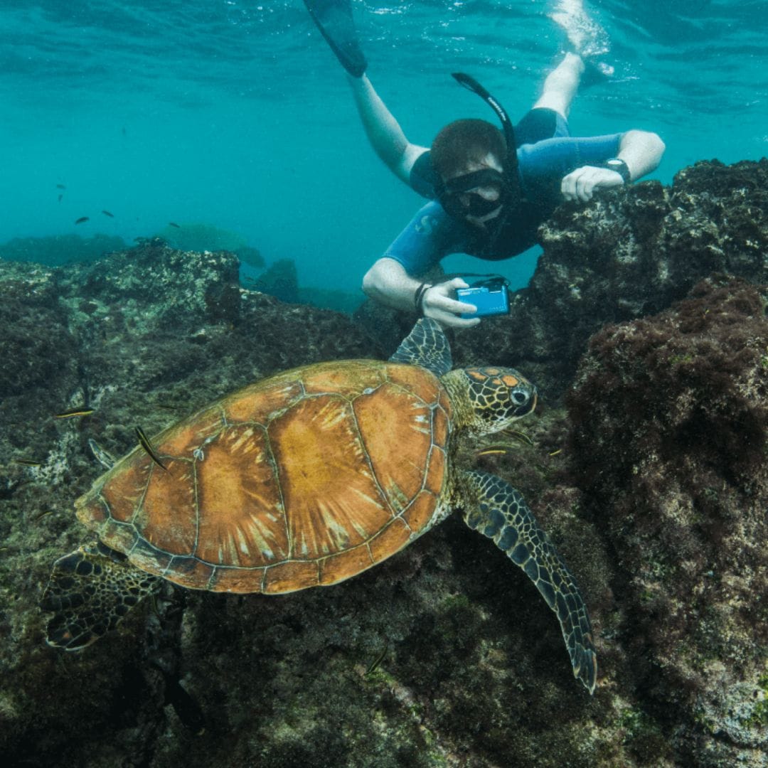 Snorkeling Session