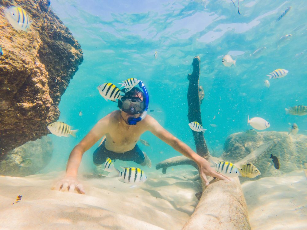 Your experience at Tortuga Island Tour From Jaco