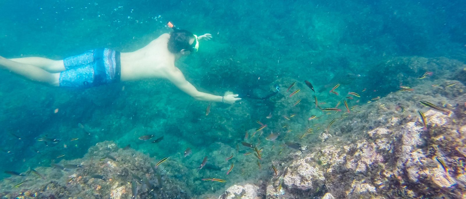 Volcanic Rock Reefs