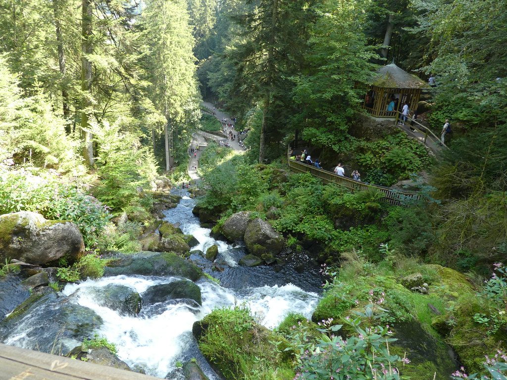 Your experience at Black Forest Tour From Strasbourg