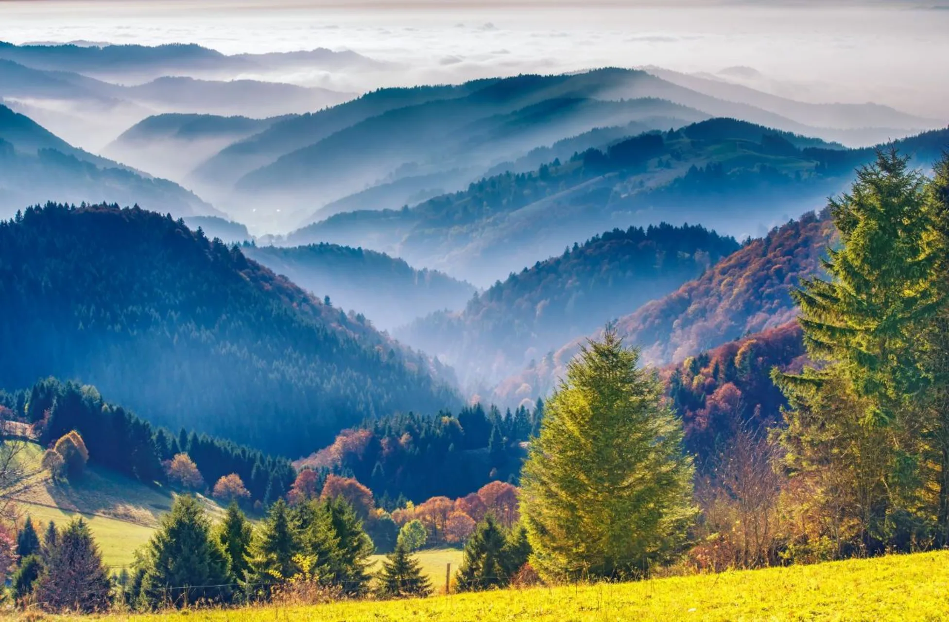 Black Forest Tour From Strasbourg