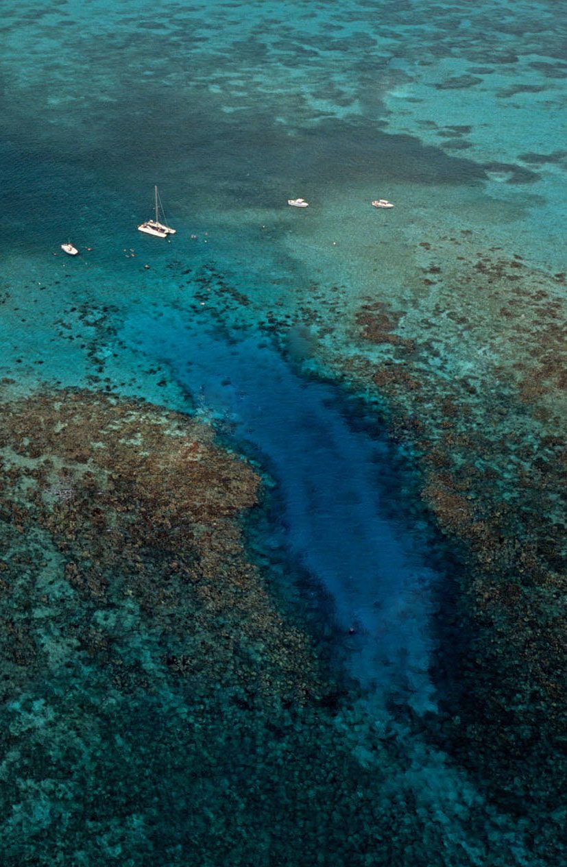 San Pedro Belize Snorkeling at Hol Chan