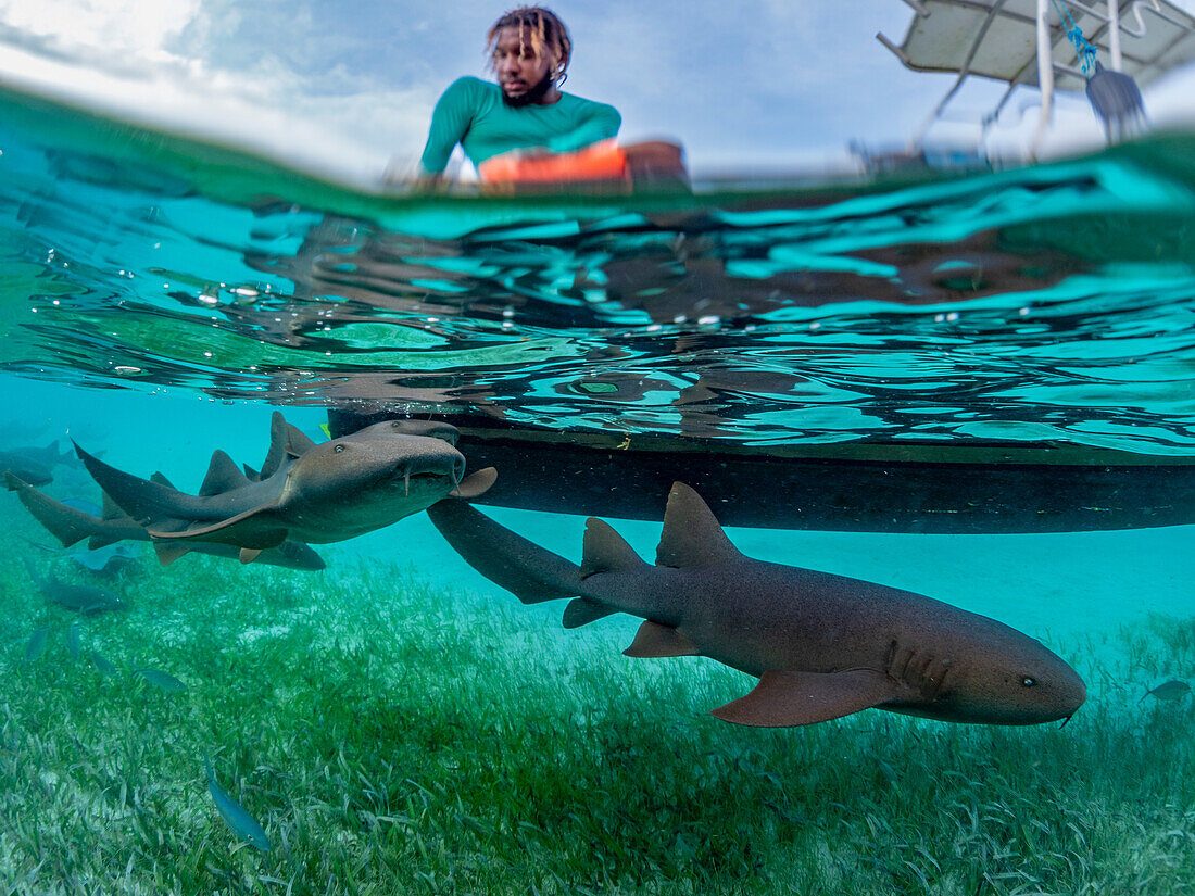 Your experience at San Pedro Belize Snorkeling