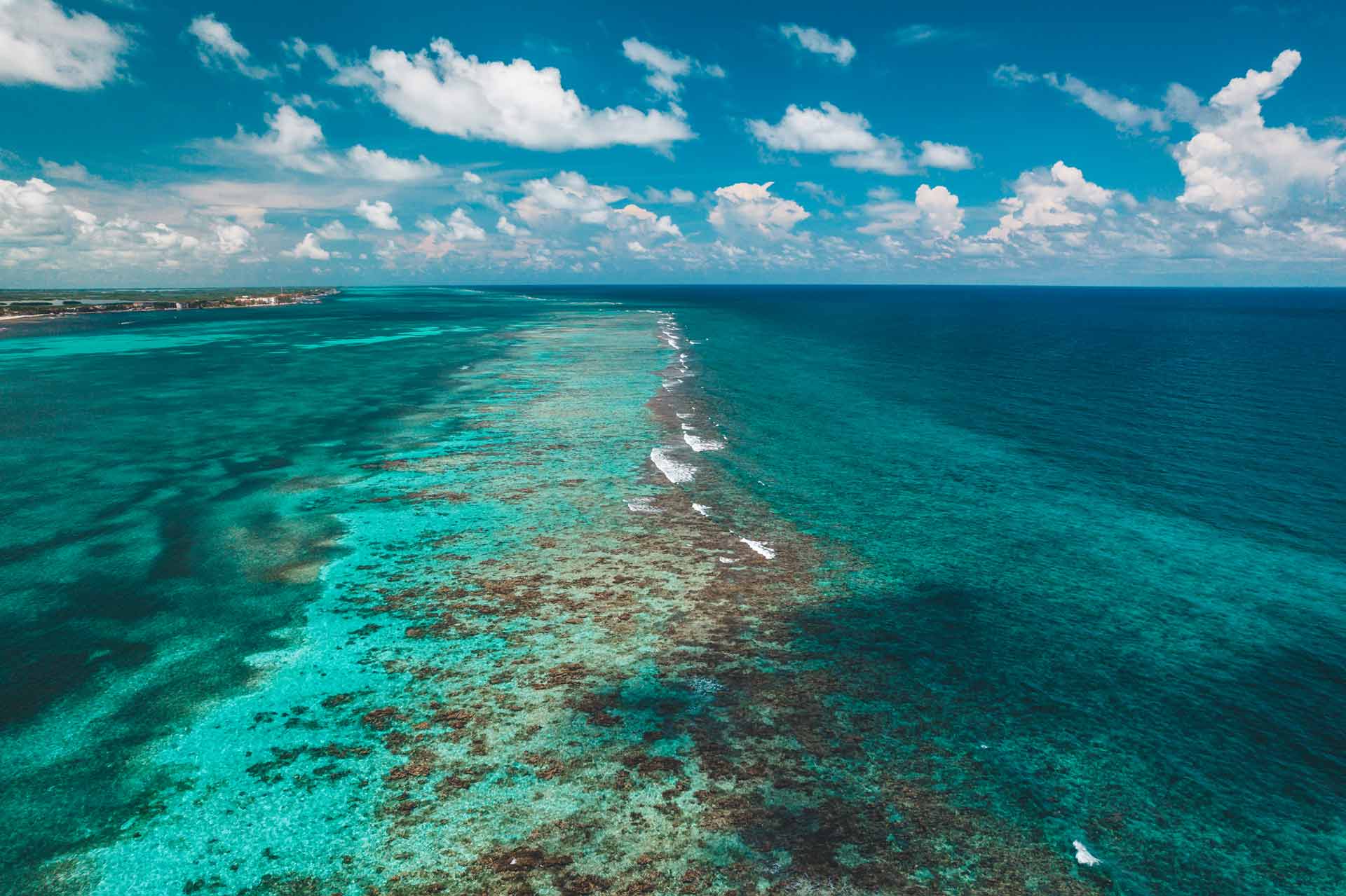 Barrier Reef Edge