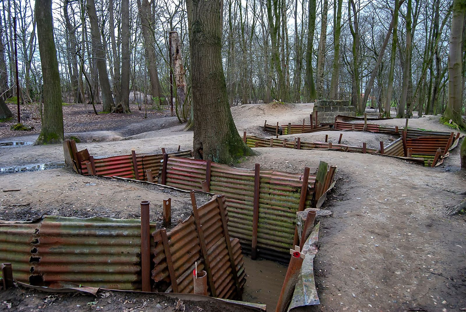 Your experience at Ypres Battlefield Tours