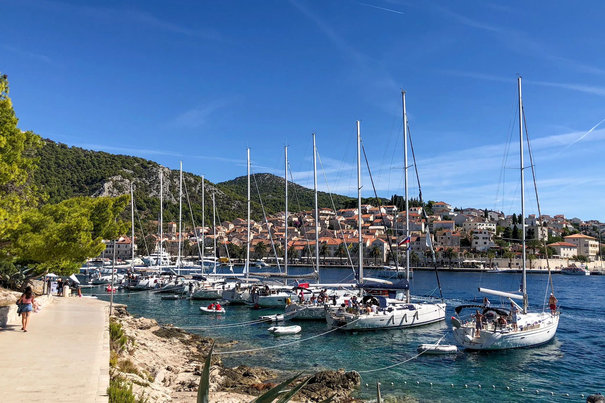Hvar Harbor