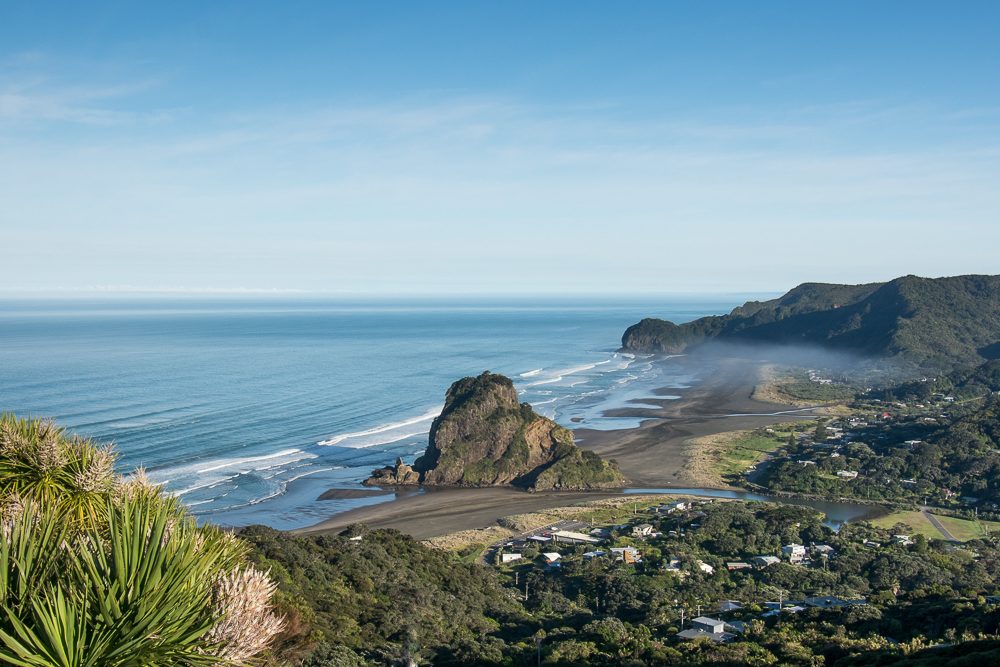 Piha Beach and Rainforest Tour
