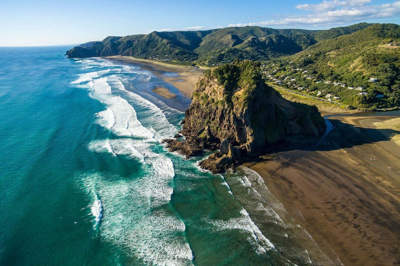 Piha Beach and Rainforest Tour Experience