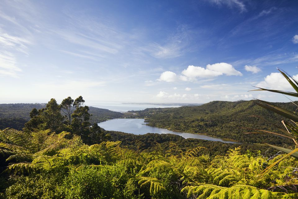 Waitākere Ranges