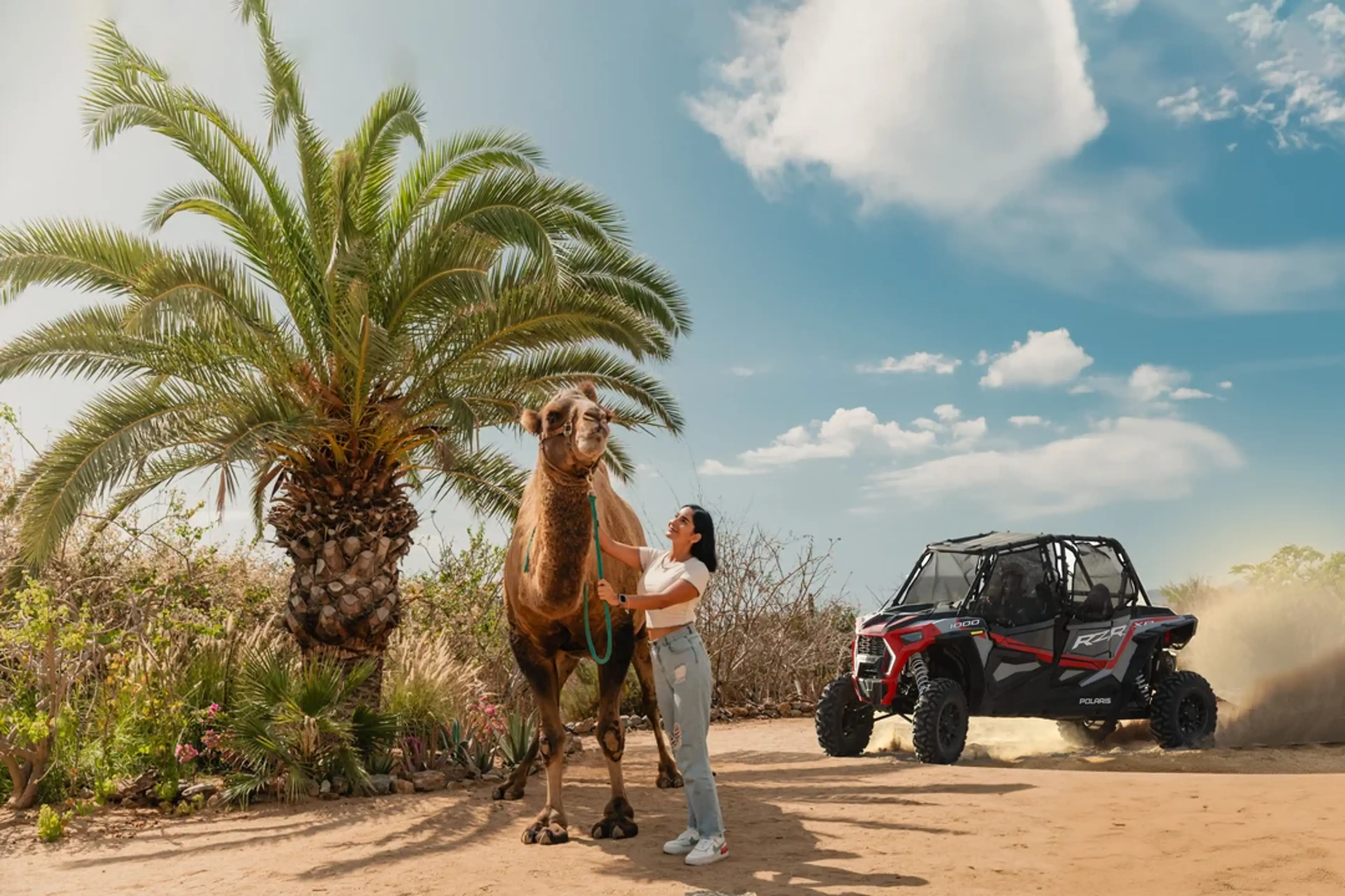 Cabo Camel and Atv Tour