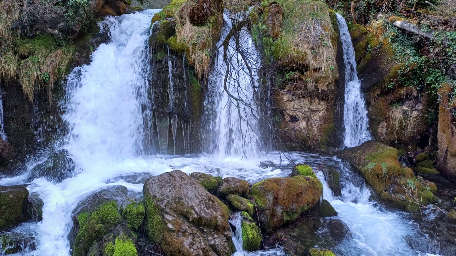 Bastareny River