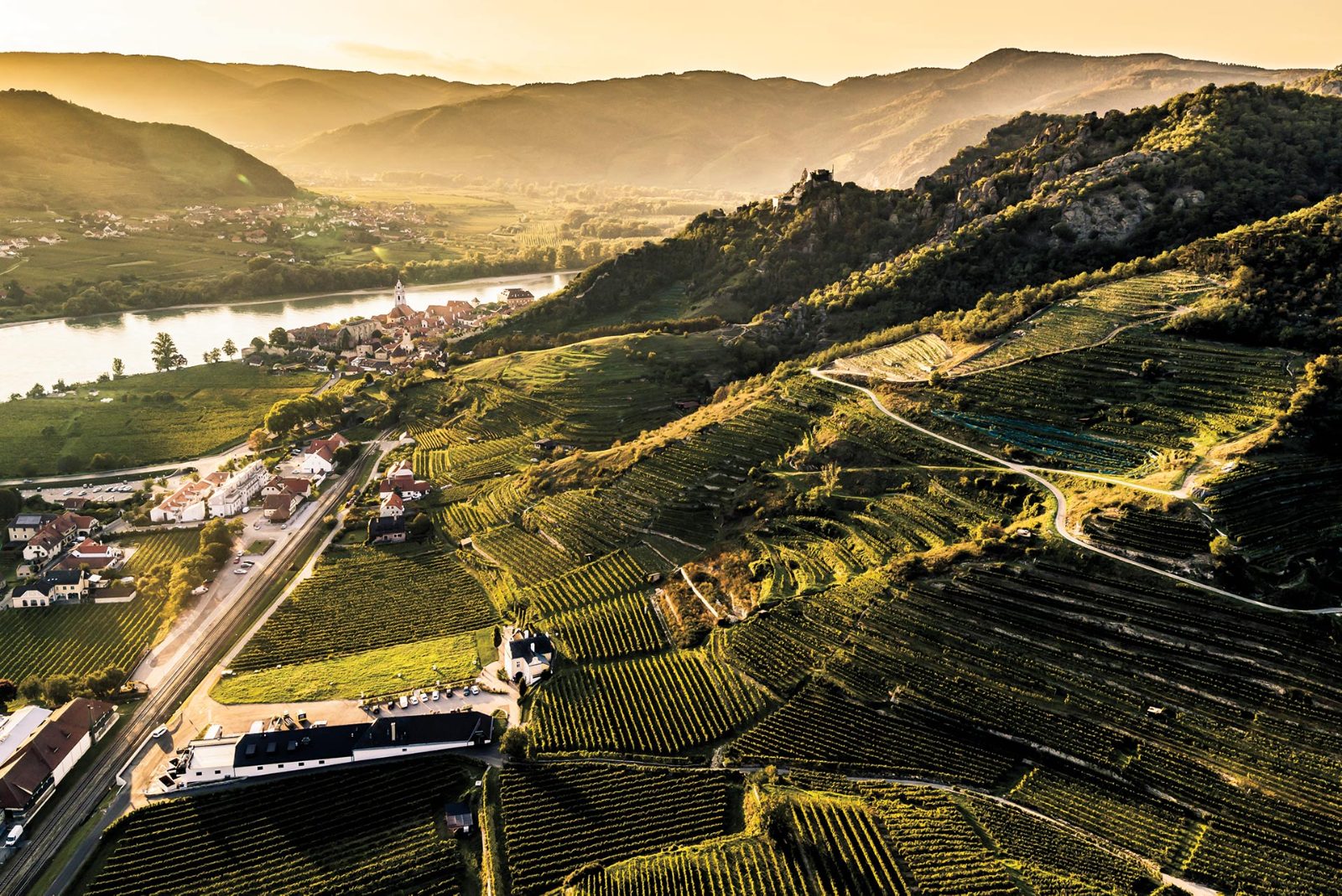 Vineyard Terraces