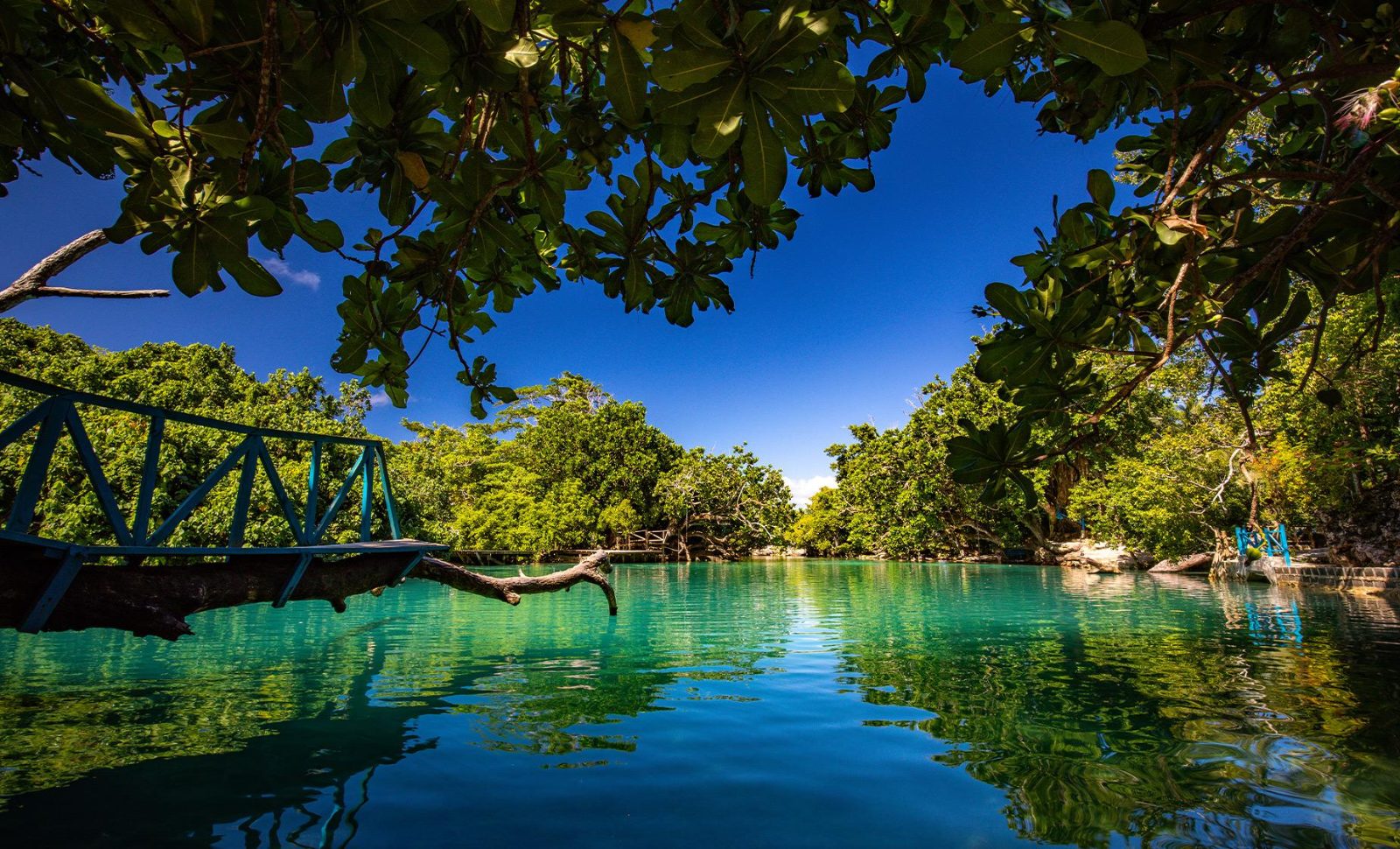 Blue Lagoon Vanuatu Tour