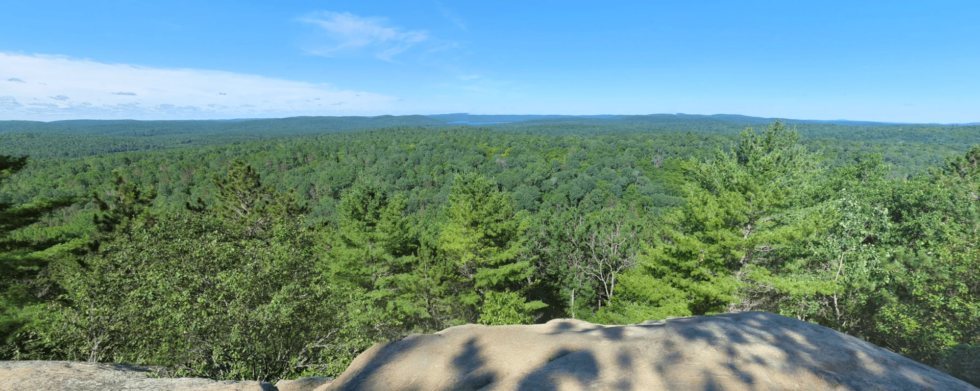 Lookout Trail