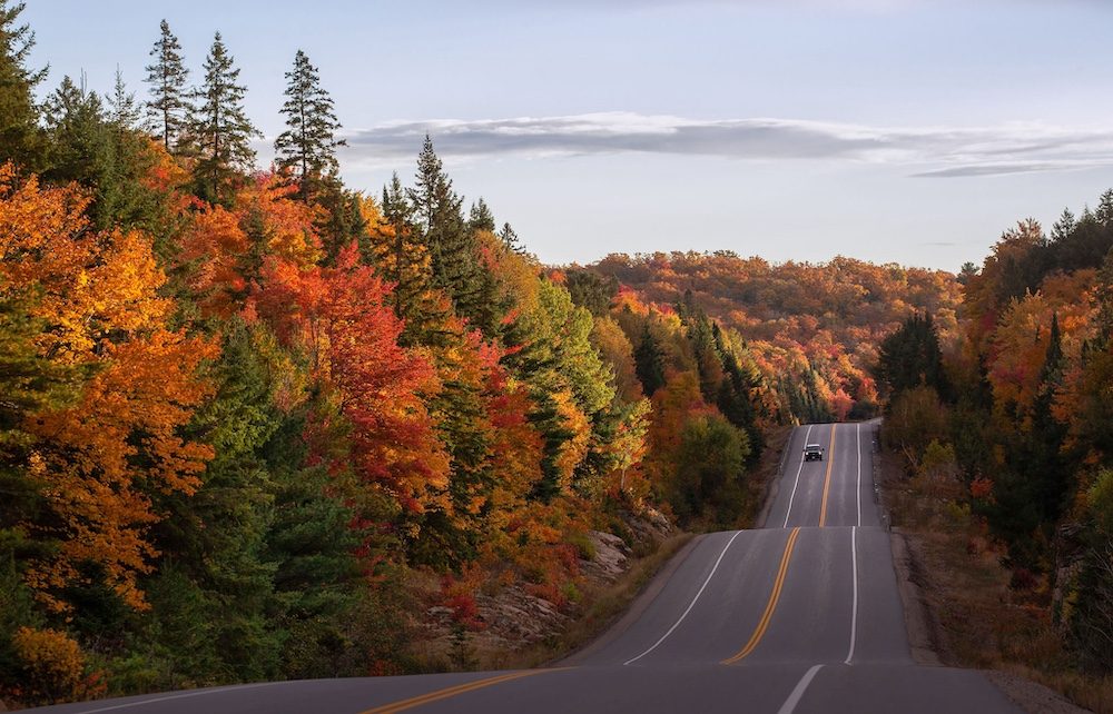 Algonquin Park Day Trip from Toronto