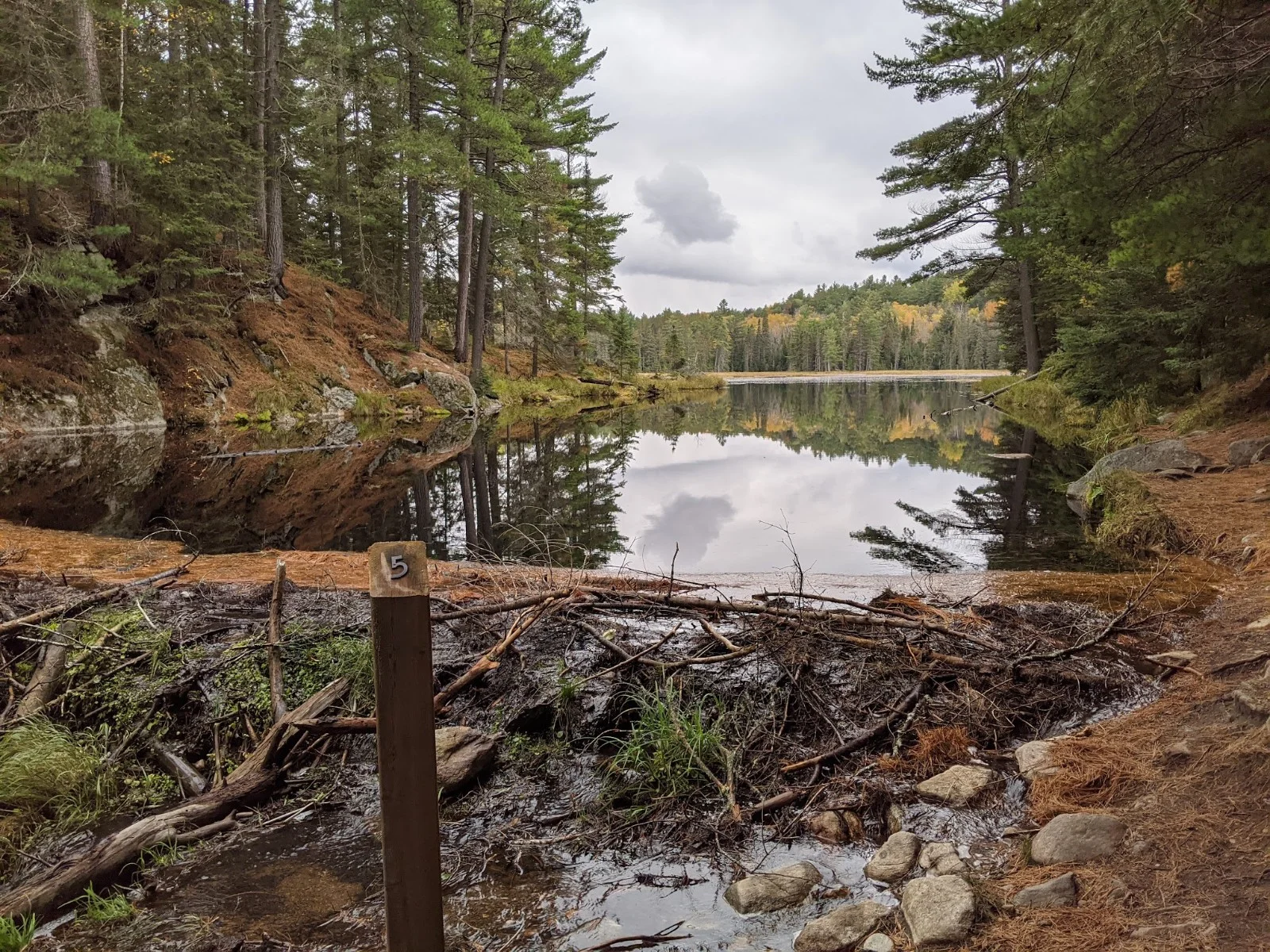 Beaver Pond Trail