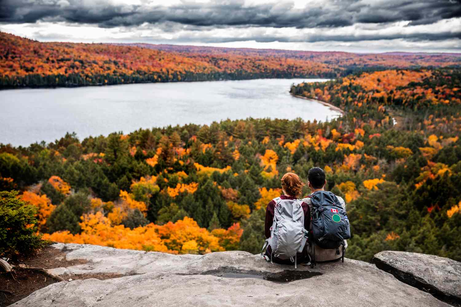 Algonquin Park Day Trip From Toronto