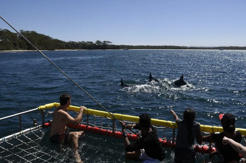 Your experience at Jervis Bay Day Trip From Sydney