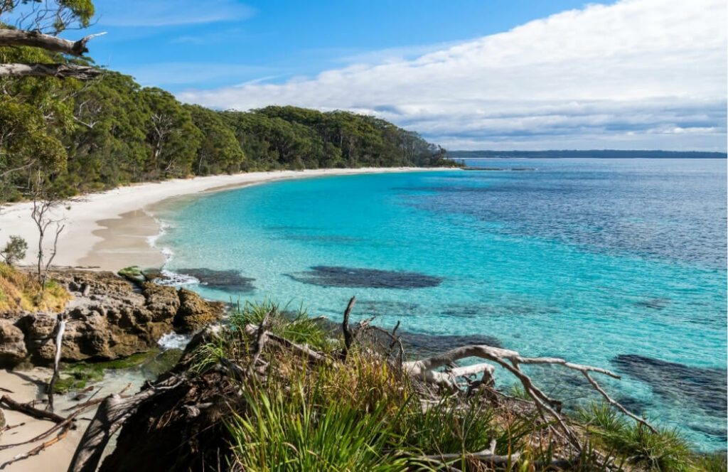 Jervis Bay Day Trip From Sydney