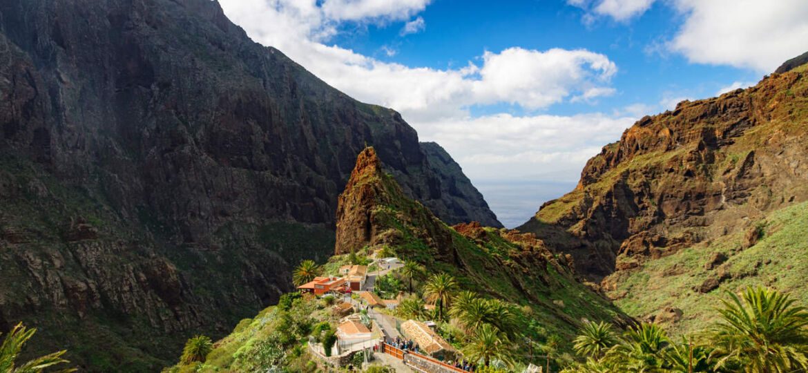 Your experience at Teide Masca Garachico Tour