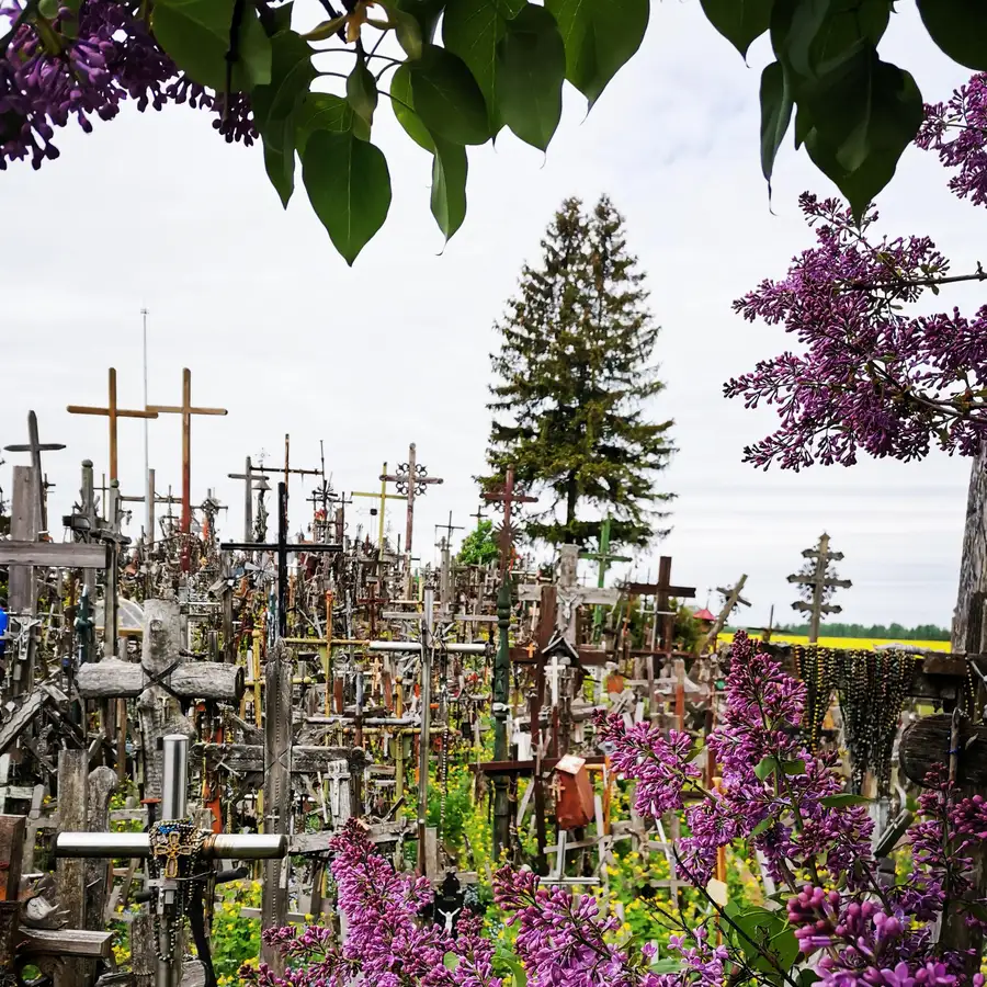 Hill of Crosses Tour From Riga