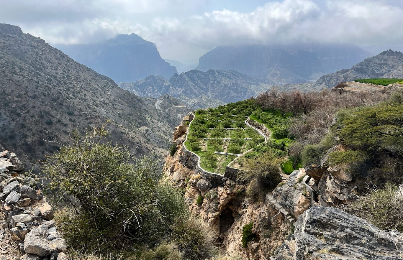 Jebel Akhdar Terraced Gardens