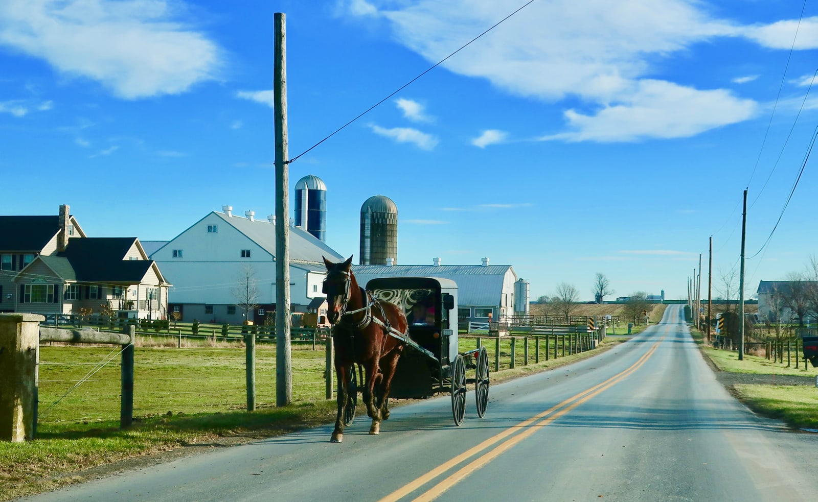 Dinner with Amish Family Experience
