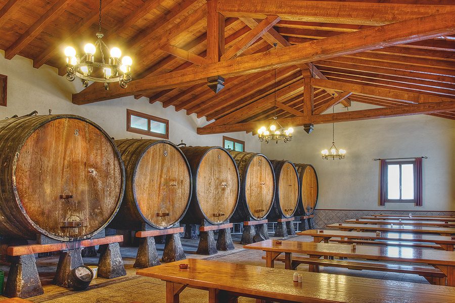 San Sebastian Cider House Tour Experience