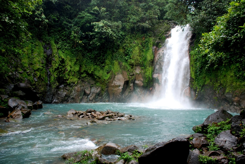 Tenorio Rainforest