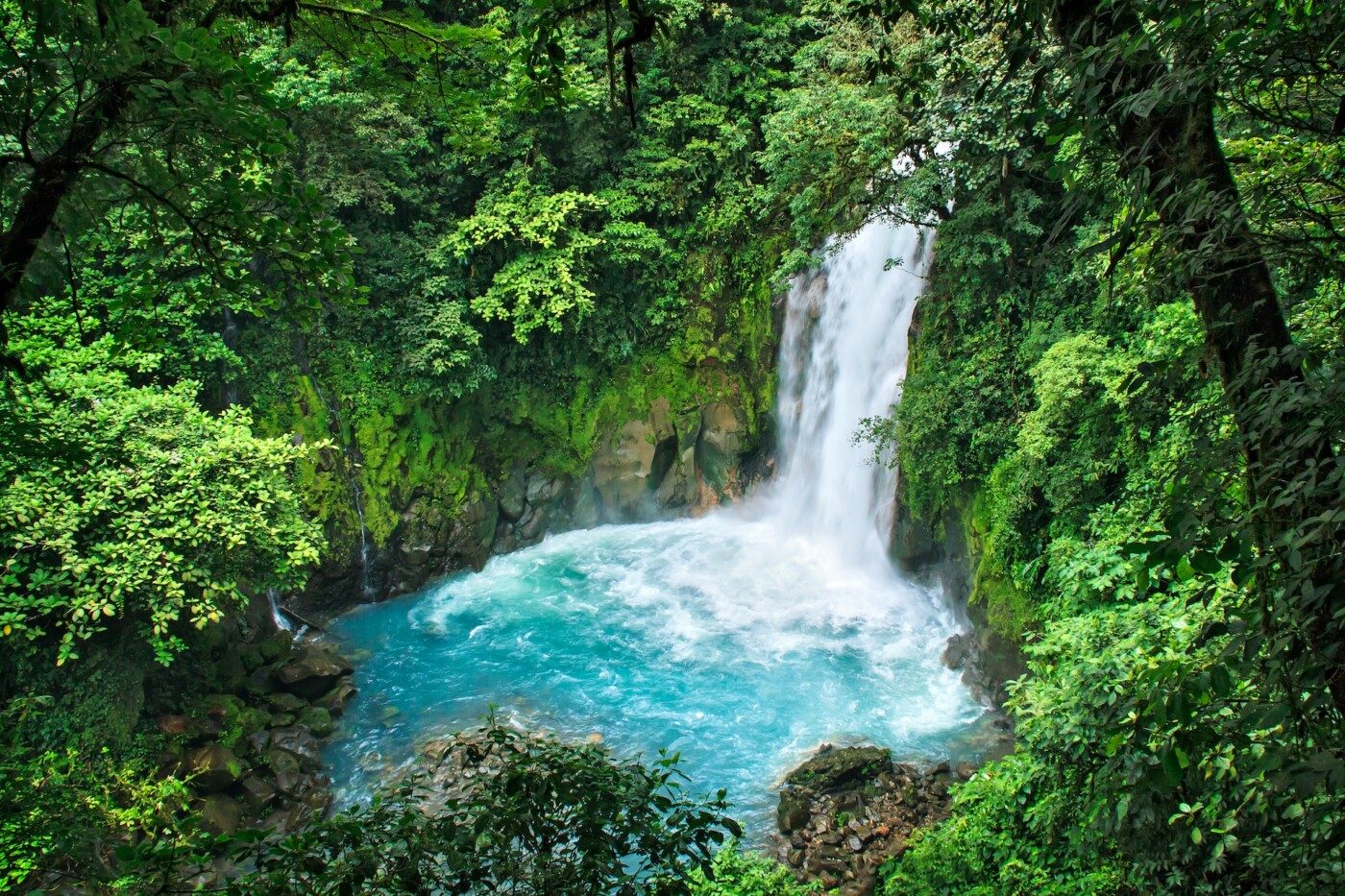 Rio Celeste from La Fortuna Day Tours