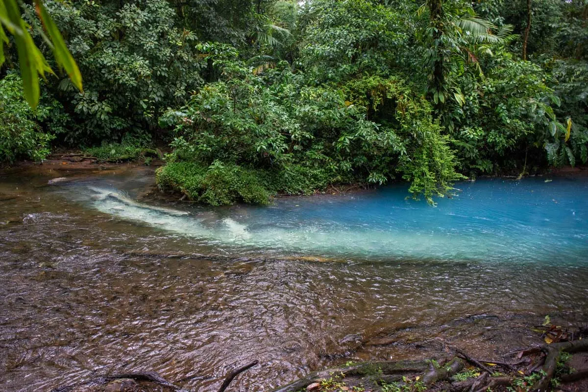 El Teñidero