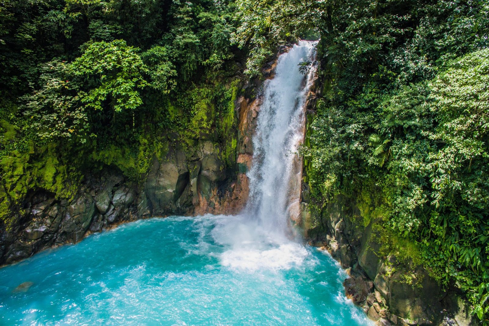Your experience at Rio Celeste From La Fortuna