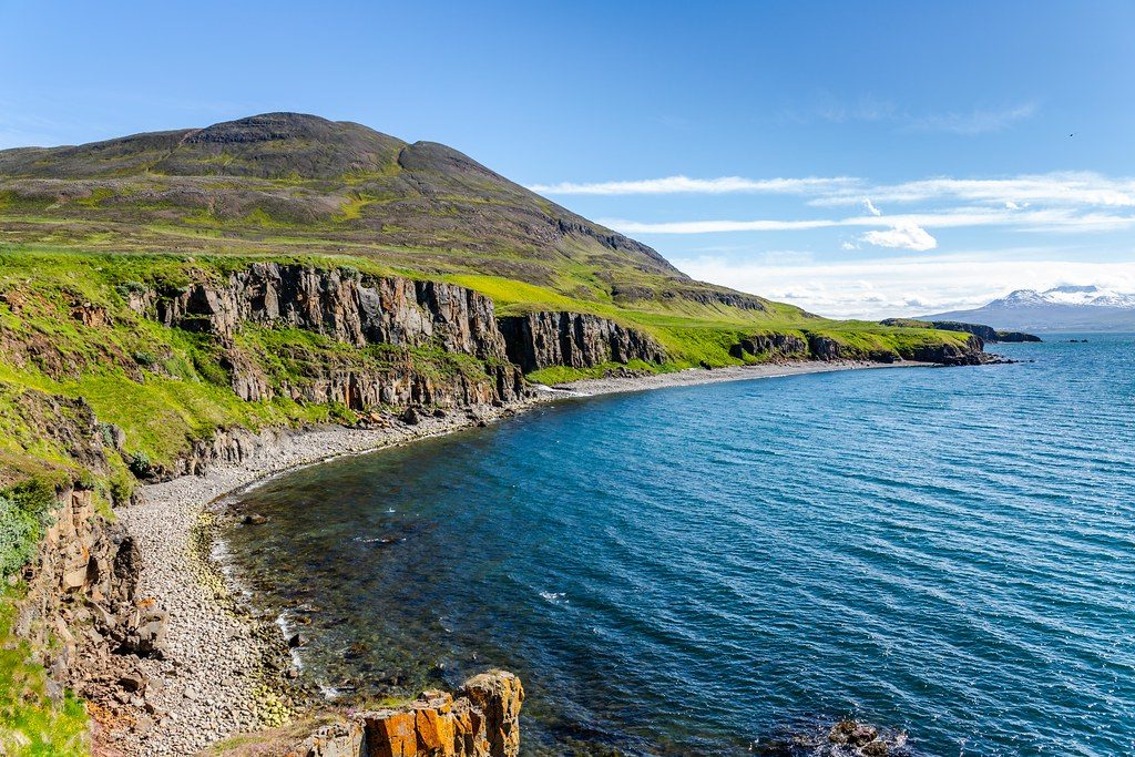 Guide to arskogssandur whale watching