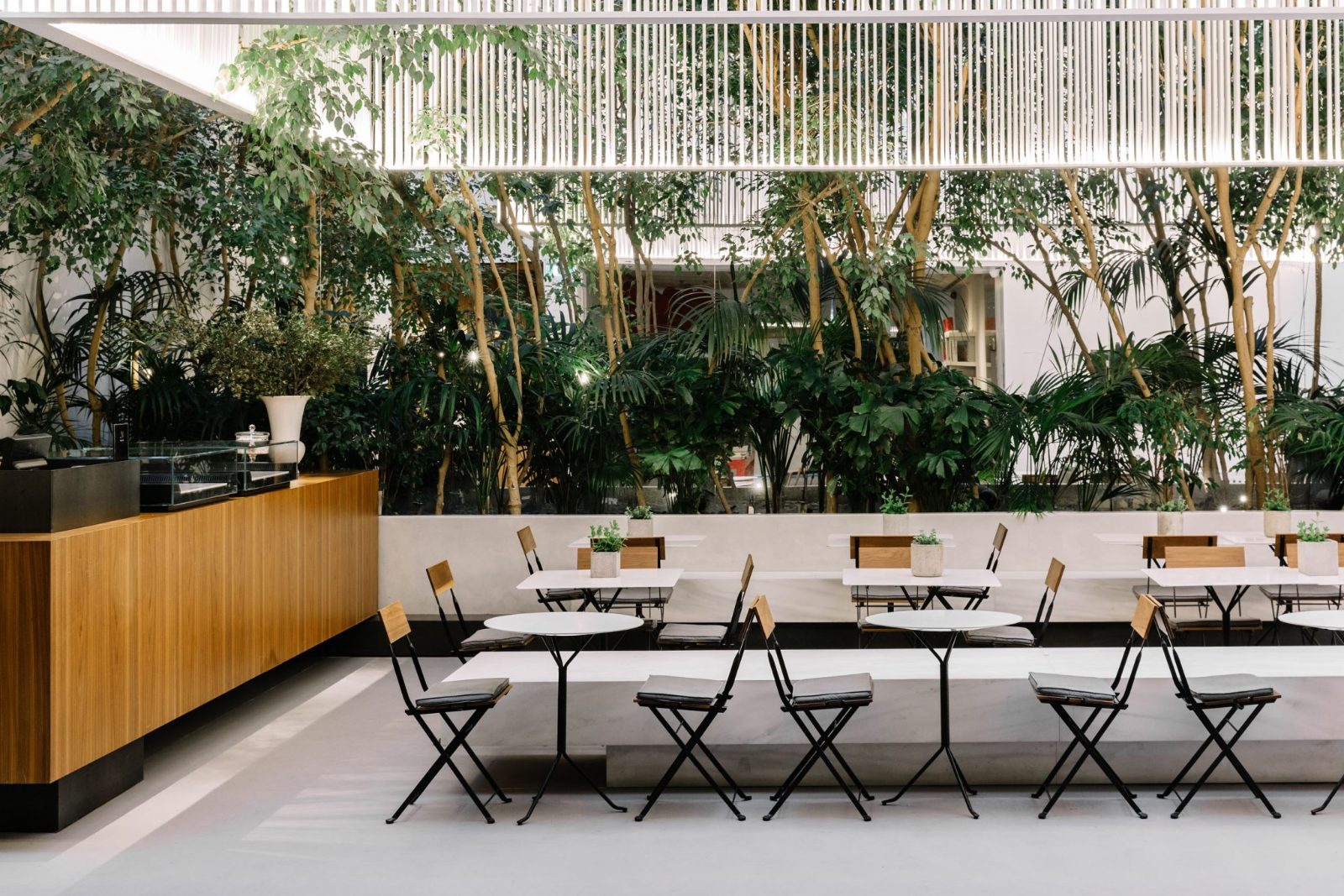Museum Cafe