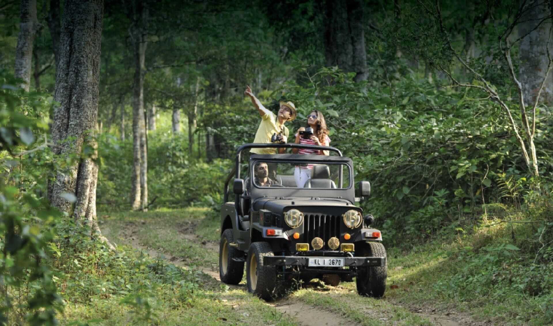 Periyar Wildlife & Jungle Safaris