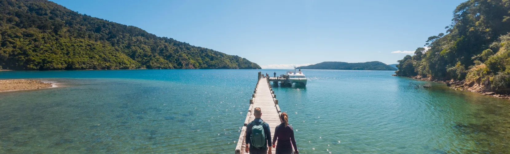 Your experience at Ship Cove Cruise Picton