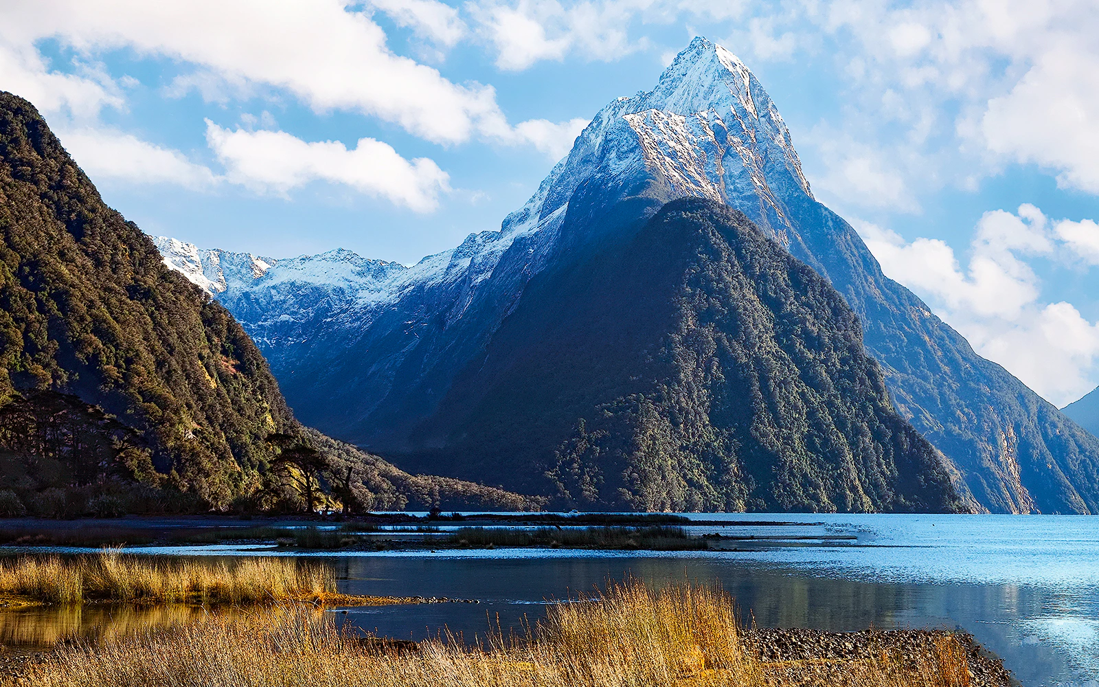 Milford sound small boat cruise overview