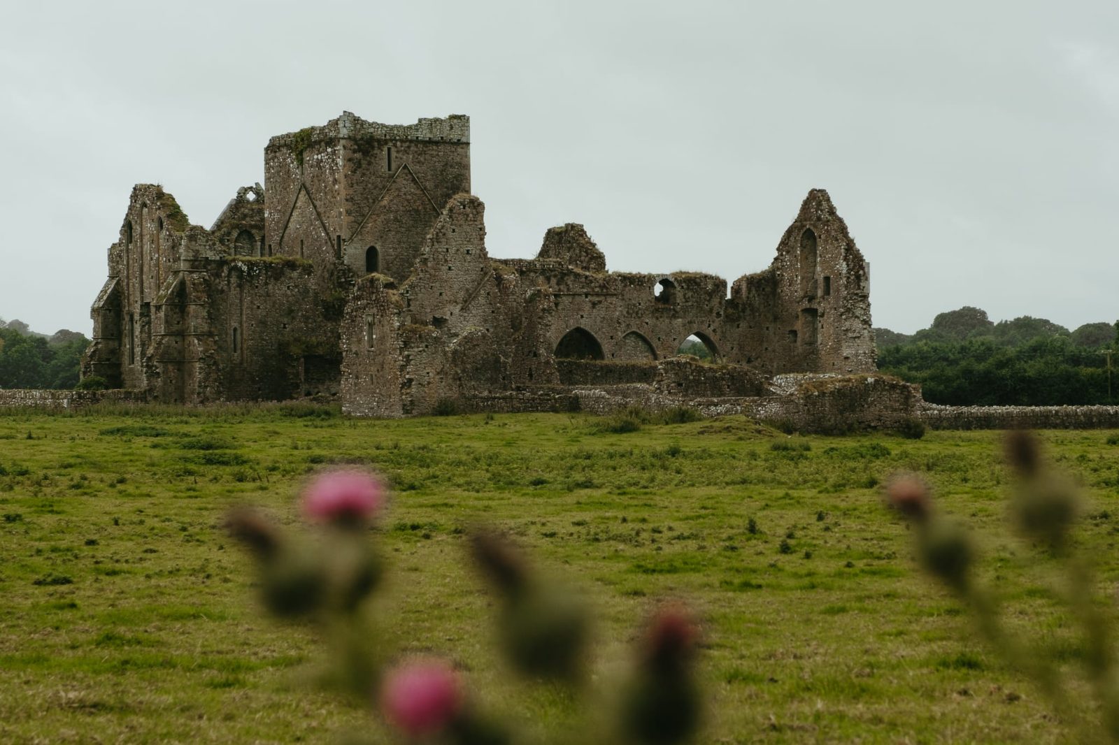 Hore Abbey
