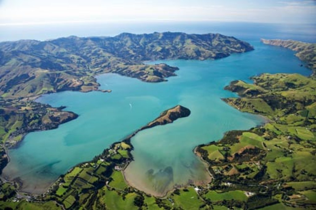 Akaroa Marine Reserve