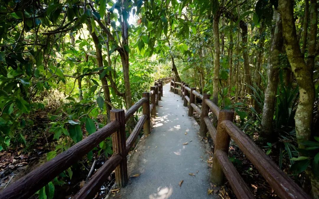 Nature Boardwalk