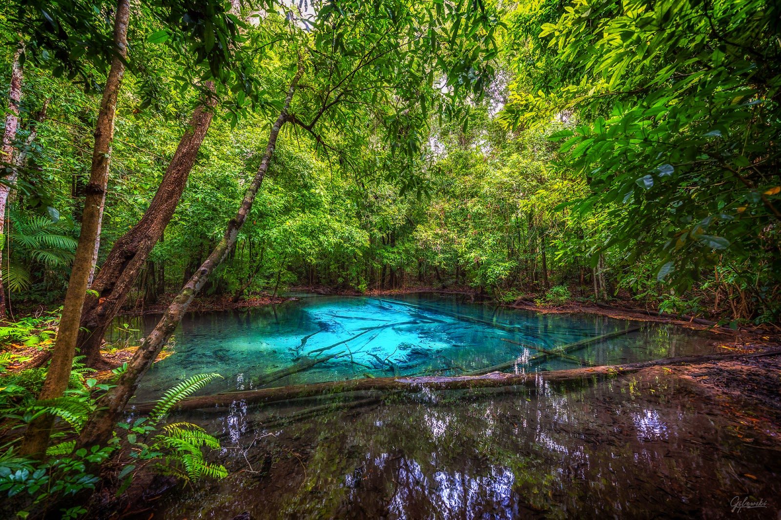 Emerald Pool Krabi Tour