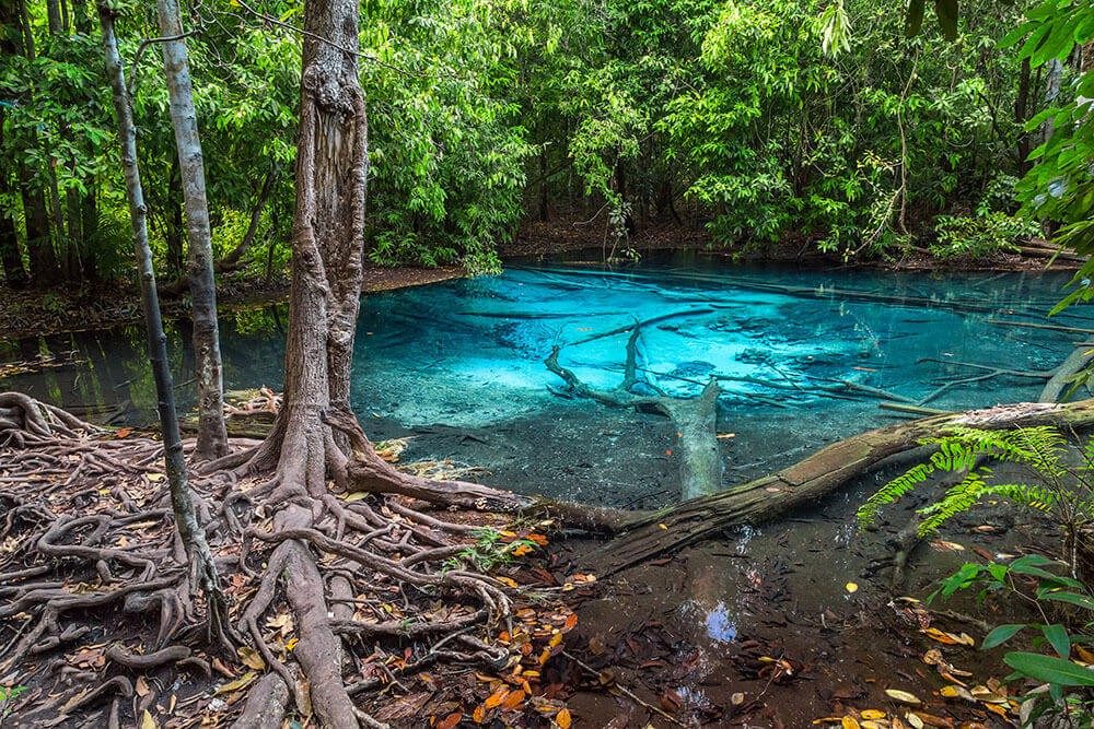 Guided emerald pool krabi tour experiences