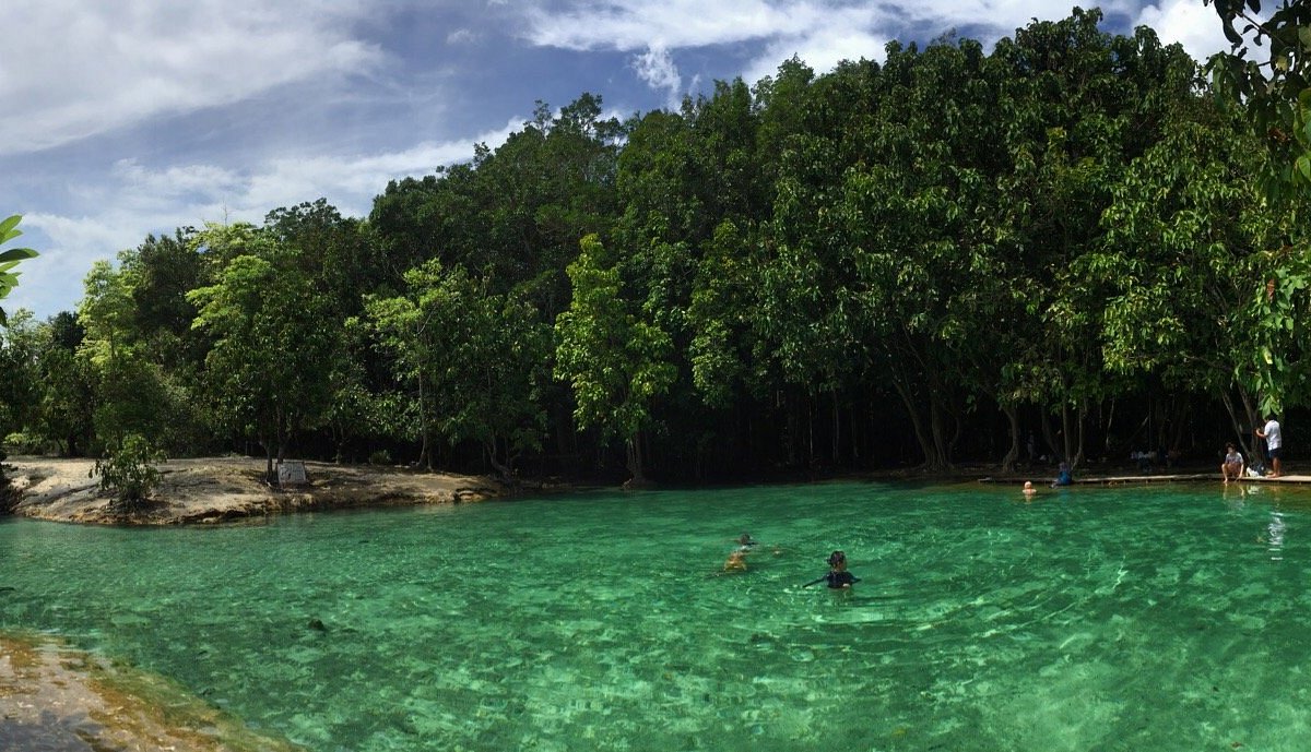 Your experience at Emerald Pool Krabi Tour