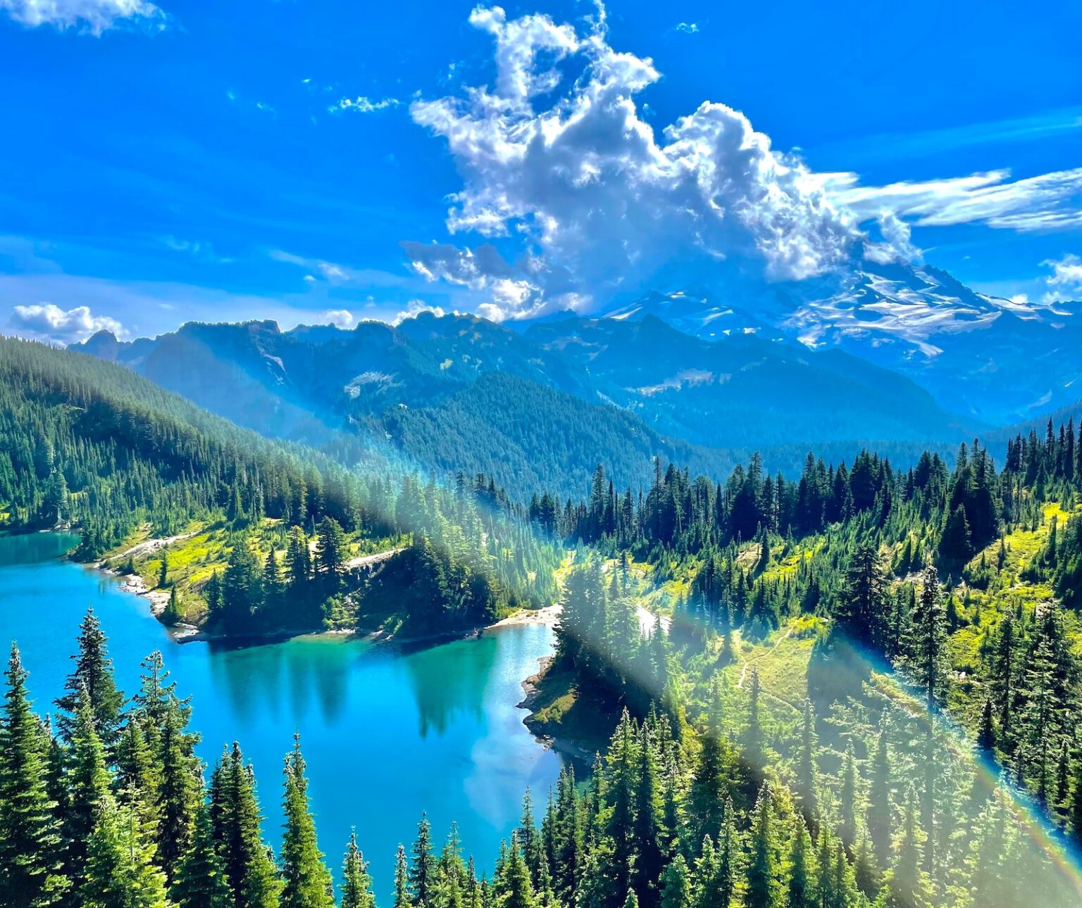 Olympic National Park Tour From Seattle