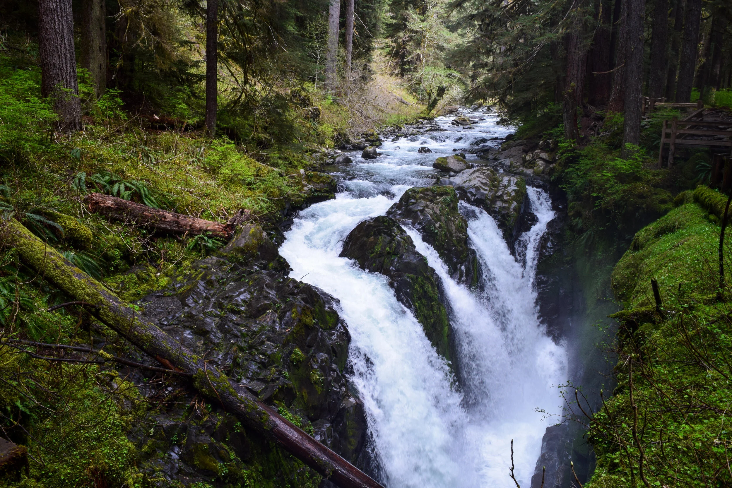 Sol Duc Falls